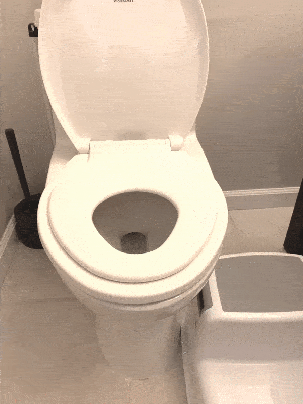 toilet seat with built-in potty seat